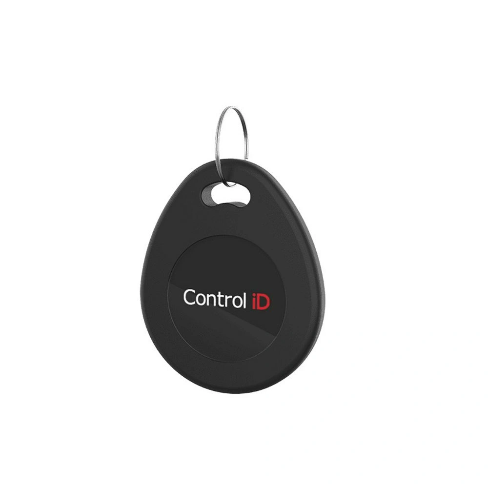 CHAVEIRO RFID 125 KHZ - CONTROL ID
